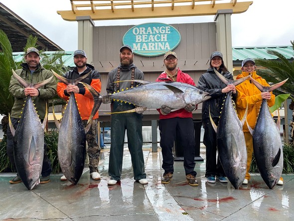 https://moundvilletimes.net/wp-content/uploads/2021/07/yellowfin-tuna-photo-by-chris-head_crop.jpg